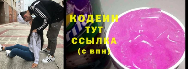 прущие грибы Волоколамск