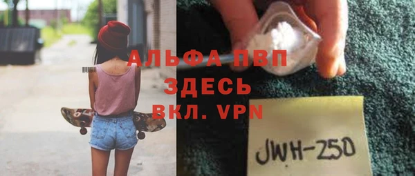прущие грибы Волоколамск