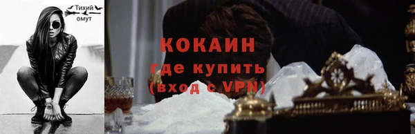 прущие грибы Волоколамск