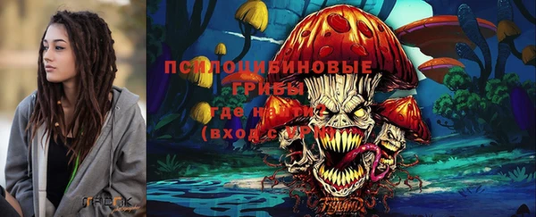 PSILOCYBIN Вязьма