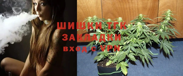 прущие грибы Волоколамск
