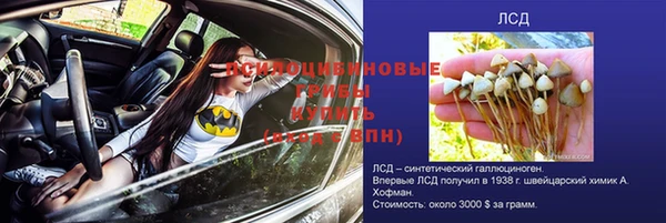 тгк Вяземский