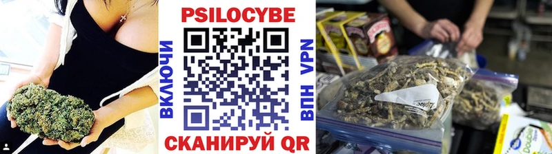Купить закладки  Соликамск  Псилоцибиновые грибы Psilocybe 